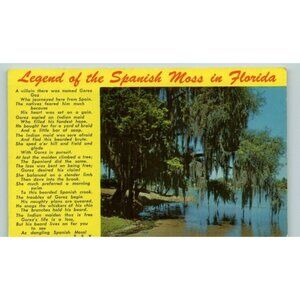 Legend of the Spanish Moss In  Florida Postcard adverting vintage